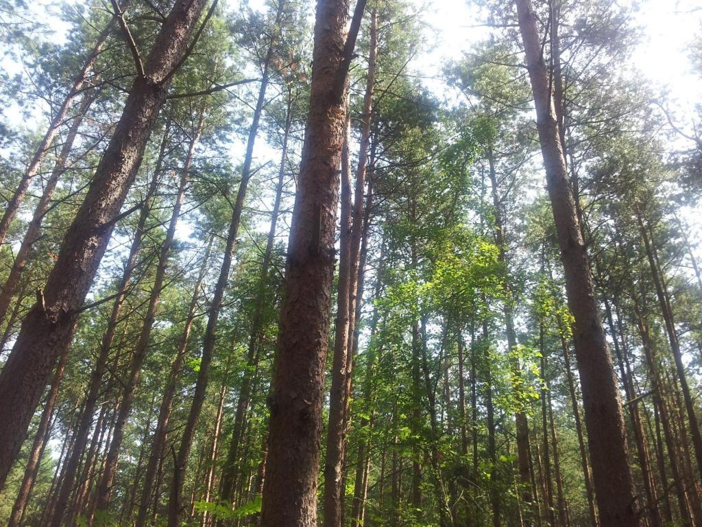 Osrodek Wypoczynkowy Amber Villa Katy Rybackie Bagian luar foto